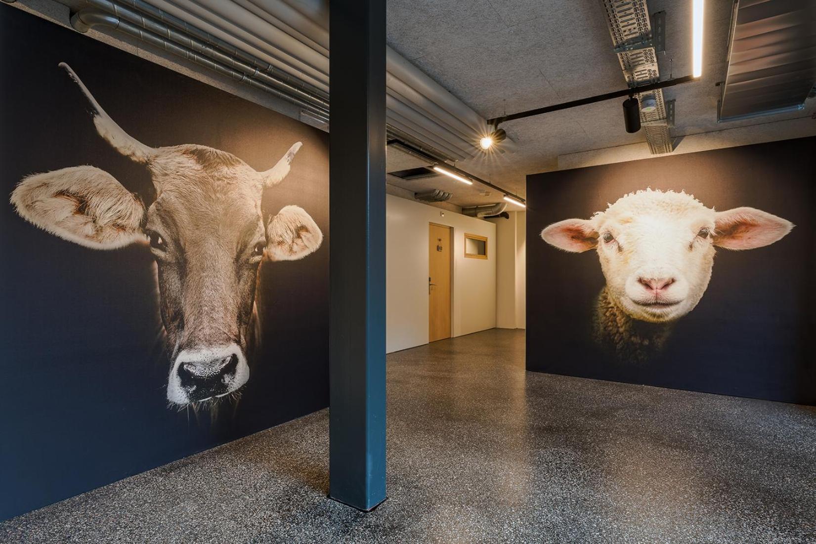 Gasthaus Hof Appenzell Bagian luar foto